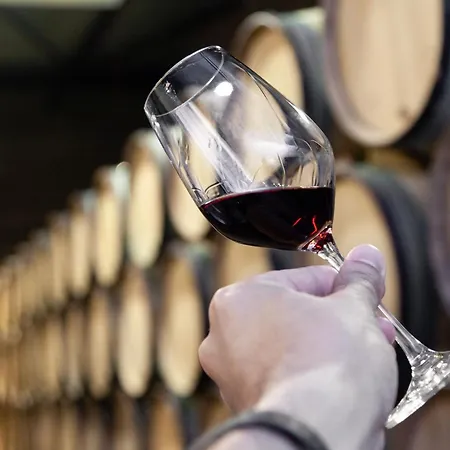 Apartment Riverviews Em Monte Dos Judeus